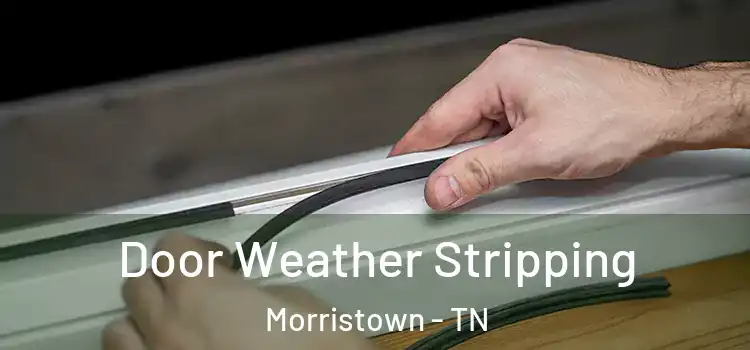  Door Weather Stripping Morristown - TN