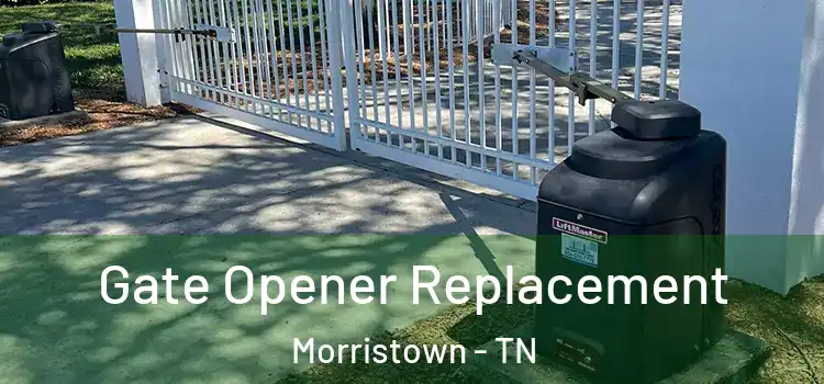 Gate Opener Replacement Morristown - TN