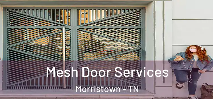 Mesh Door Services Morristown - TN